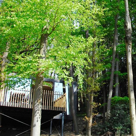 Gite Des Bois De Spa Eksteriør bilde