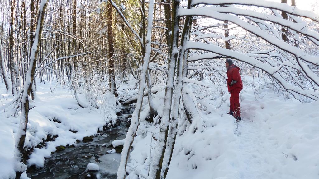 Gite Des Bois De Spa Eksteriør bilde